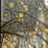 Дожди и резкое похолодание ожидается в Казахстане