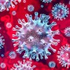 Случаи коронавируса вновь зарегистрированы в Костанайской области